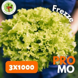 Promo Lechuga Frezze