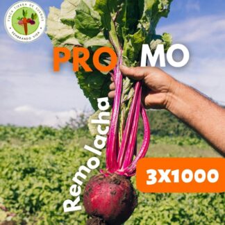 Promo Remolacha