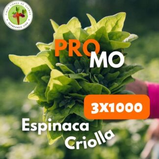 Promo Espinaca Criolla
