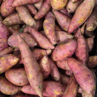 Camote Zanahoria