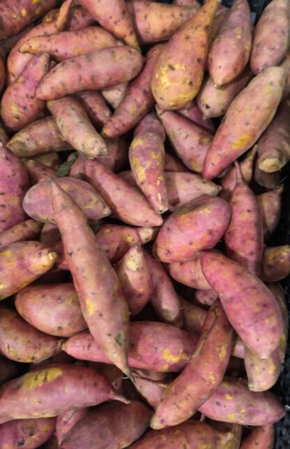 Camote Zanahoria