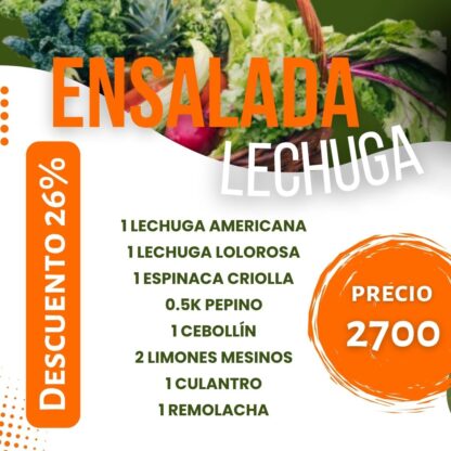 Ensalada Lechuga
