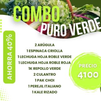 Combo "PURO VERDE"