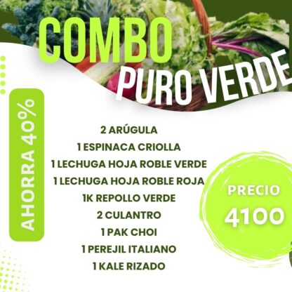 Combo "PURO VERDE"