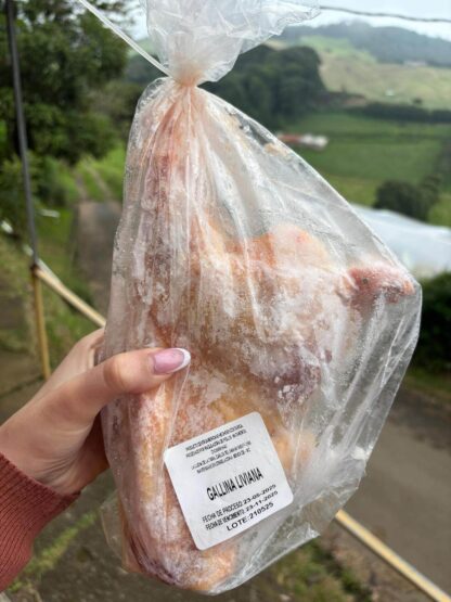 Gallina Entera