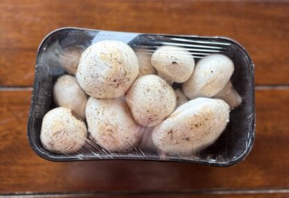 Hongo Champiñón