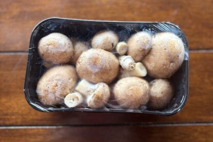 Hongo Crimini