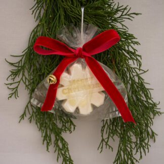 Mini jabón de estrella de citronela