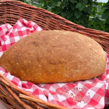 Pan Linaza
