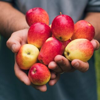 Manzana