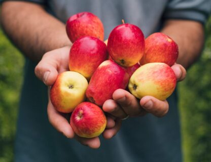 Manzana
