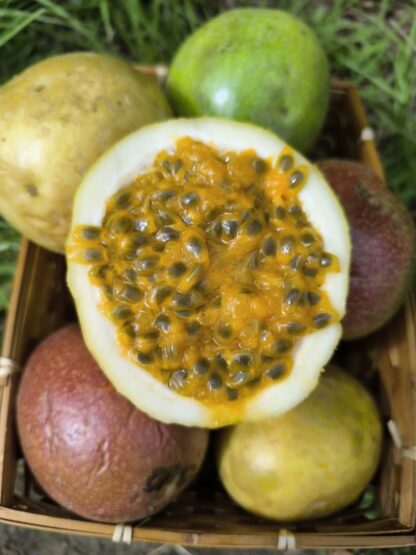 Maracuyá