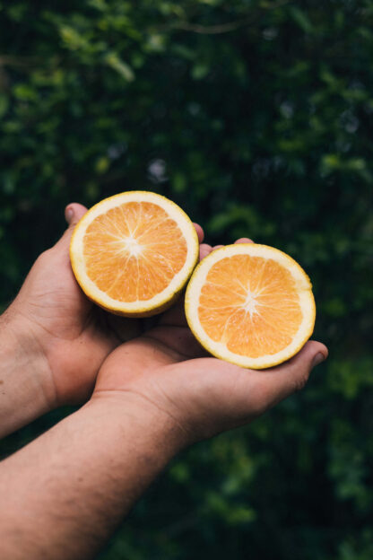 Naranja