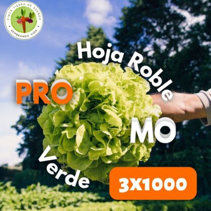 Promo Lechuga Hoja de Roble Verde