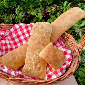 Ciabatta