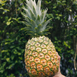 Piña