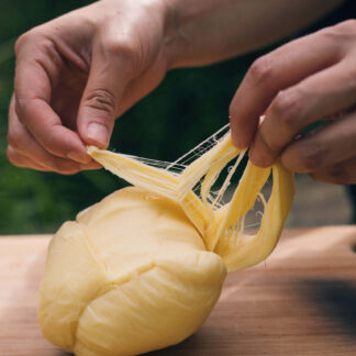 Queso Palmito