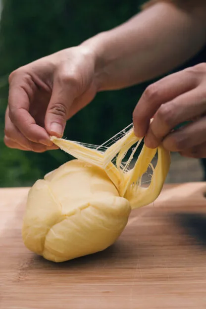 Queso Palmito