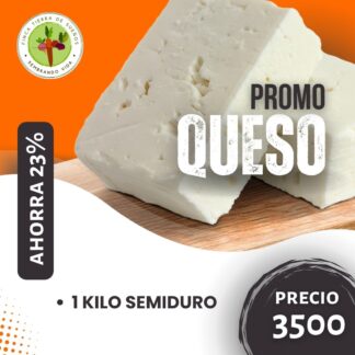 Promo Queso Semiduro