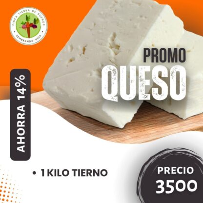 Promo Queso Tierno