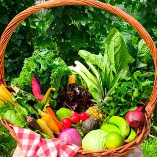Frutas y Verduras