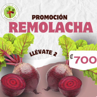 Oferta Remolacha